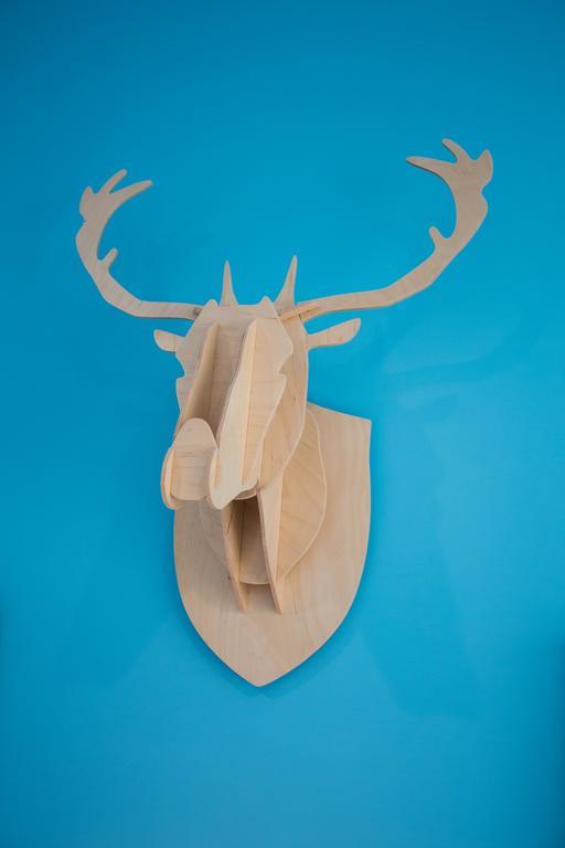 Antlers Guest House T'ai-tung Esterno foto